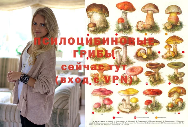 экстази Сатка