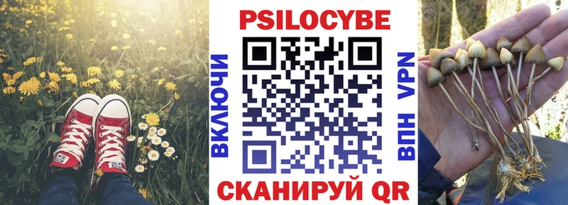 Купить закладки  Долинск  Псилоцибиновые грибы ЛСД 
